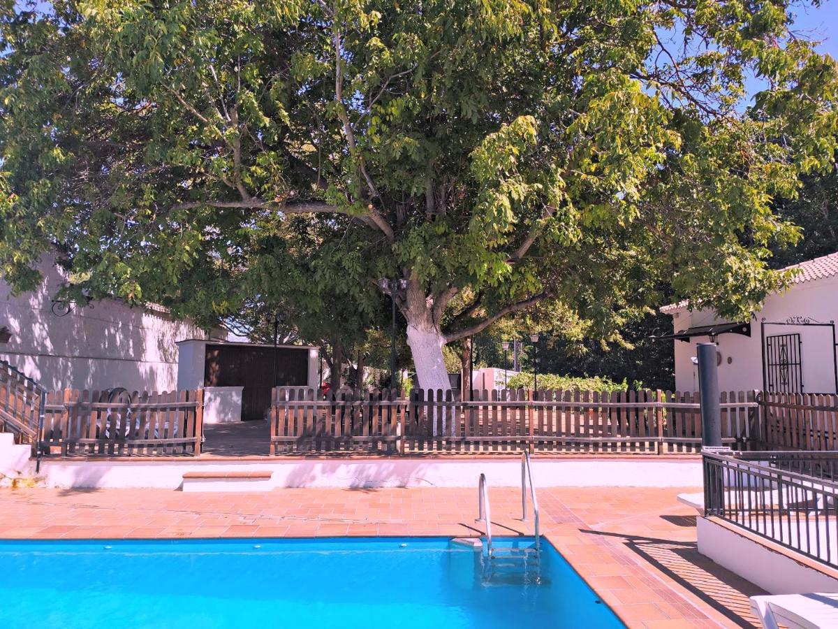 Complejo Apartamentos Rurales Molino De Abajo Ribera Baja  外观 照片