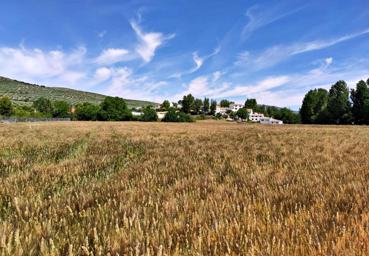 Complejo Apartamentos Rurales Molino De Abajo Ribera Baja  外观 照片