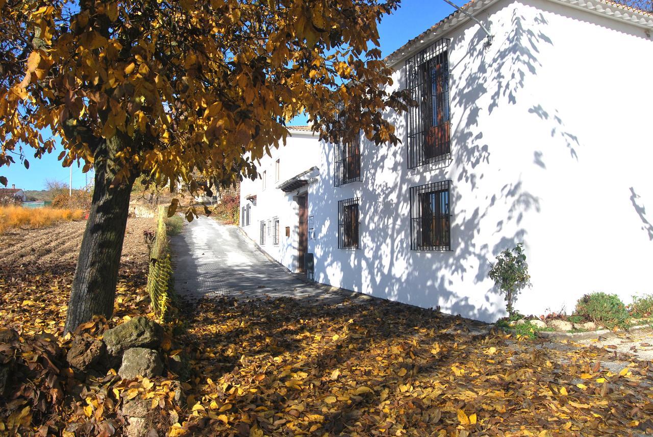 Complejo Apartamentos Rurales Molino De Abajo Ribera Baja  外观 照片